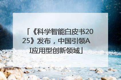 《科学智能白皮书2025》发布，中国引领AI应用型创新领域