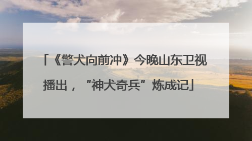 《警犬向前冲》今晚山东卫视播出，“神犬奇兵”炼成记