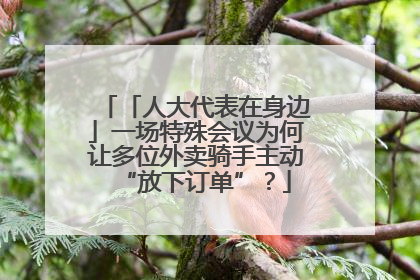 「人大代表在身边」一场特殊会议为何让多位外卖骑手主动“放下订单”？