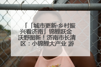 「城市更新·乡村振兴看济南」锦鲤跃金 沃野图新！济南市长清区：小锦鲤大产业 游出农旅新风景
