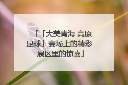 「大美青海 高原足球」赛场上的精彩 展区里的惊喜