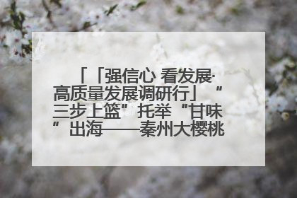 「强信心 看发展·高质量发展调研行」“三步上篮”托举“甘味”出海——秦州大樱桃高质量发展动作分解