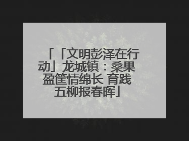 「文明彭泽在行动」龙城镇：桑果盈筐情绵长 育践五柳报春晖