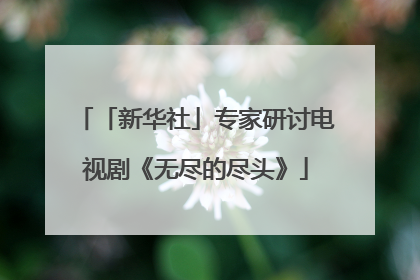 「新华社」专家研讨电视剧《无尽的尽头》