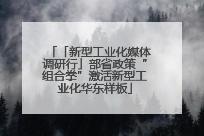 「新型工业化媒体调研行」部省政策“组合拳”激活新型工业化华东样板