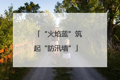 “火焰蓝”筑起“防汛墙”