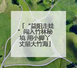 “益阳走娃”闯入竹林秘境 用小脚丫丈量大竹海