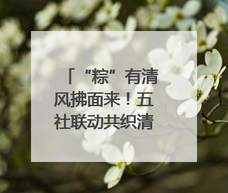 “粽”有清风拂面来！五社联动共织清风网