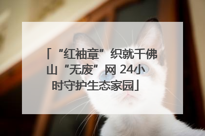 “红袖章”织就千佛山“无废”网 24小时守护生态家园