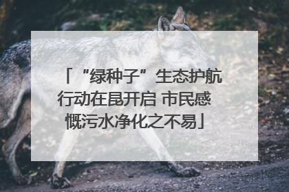 “绿种子”生态护航行动在昆开启 市民感慨污水净化之不易