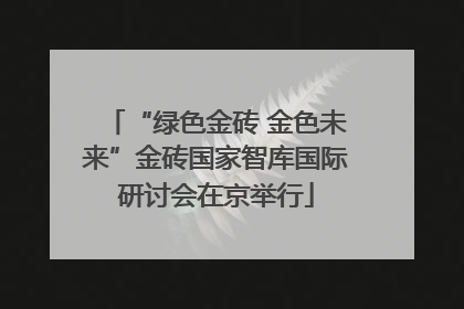 “绿色金砖 金色未来”金砖国家智库国际研讨会在京举行