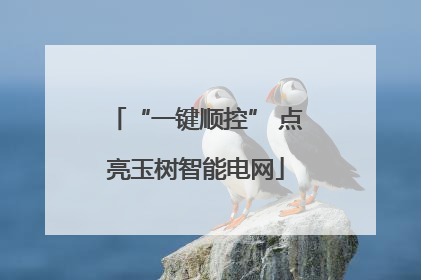 “一键顺控” 点亮玉树智能电网