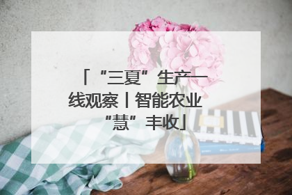 “三夏”生产一线观察丨智能农业“慧”丰收