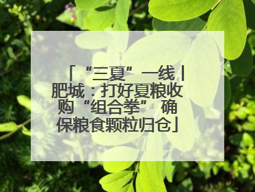 “三夏”一线丨肥城：打好夏粮收购“组合拳” 确保粮食颗粒归仓