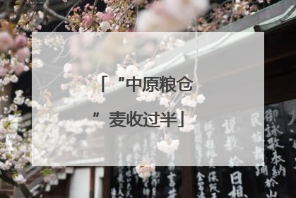 “中原粮仓”麦收过半