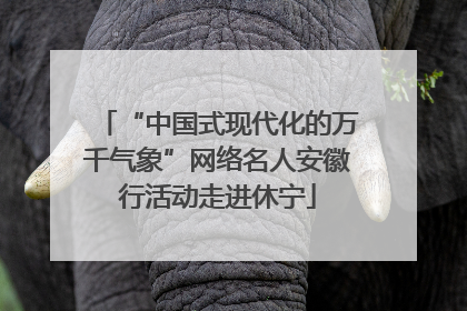 “中国式现代化的万千气象”网络名人安徽行活动走进休宁