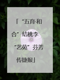 “五育·和合”结桃李 “艺苑”芬芳传捷报