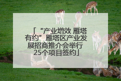 “产业增效 雁塔有约”雁塔区产业发展招商推介会举行 25个项目签约