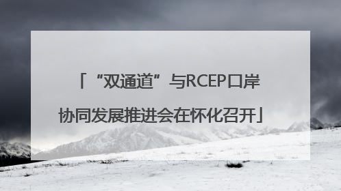 “双通道”与RCEP口岸协同发展推进会在怀化召开