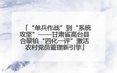 “单兵作战”到“系统攻坚”——甘肃省高台县合黎镇“四化一评”激活农村党员管理新引擎