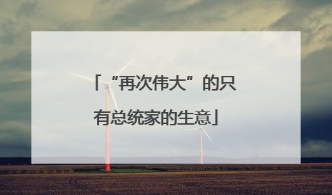 “再次伟大”的只有总统家的生意