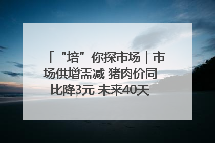 “培”你探市场｜市场供增需减 猪肉价同比降3元 未来40天便宜猪肉敞开吃