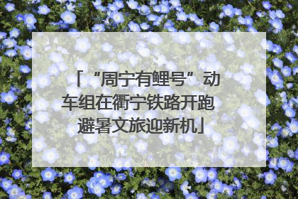 “周宁有鲤号”动车组在衢宁铁路开跑 避暑文旅迎新机