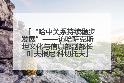 “哈中关系持续稳步发展”——访哈萨克斯坦文化与信息部副部长叶夫根尼·科切托夫