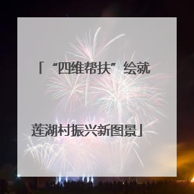 “四维帮扶”绘就莲湖村振兴新图景
