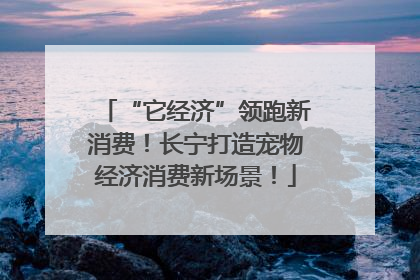 “它经济”领跑新消费！长宁打造宠物经济消费新场景！