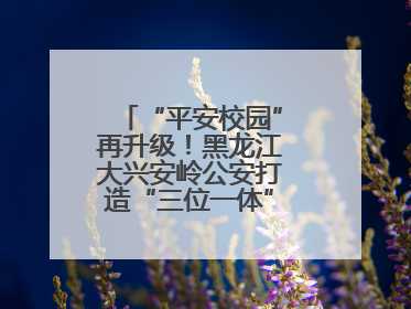 “平安校园”再升级！黑龙江大兴安岭公安打造“三位一体”守护新模式