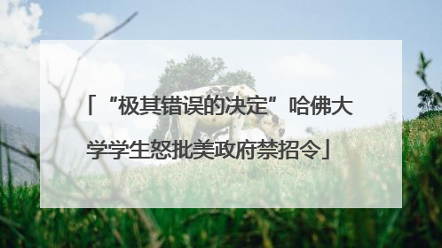 “极其错误的决定”哈佛大学学生怒批美政府禁招令