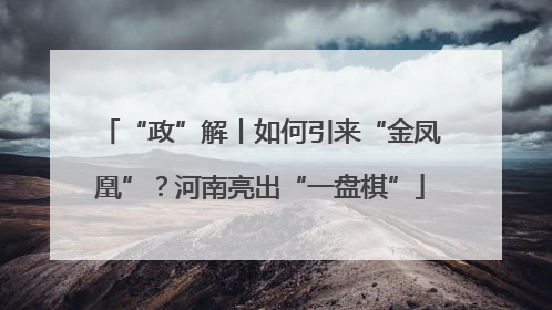 “政”解丨如何引来“金凤凰”？河南亮出“一盘棋”