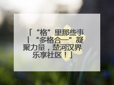 “格”里那些事丨“多格合一”凝聚力量，楚河汉界乐享社区！