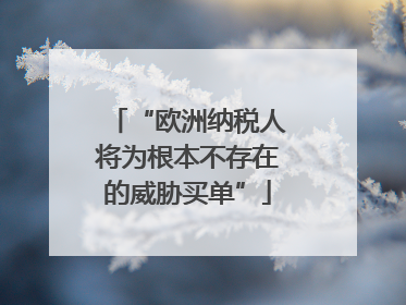 “欧洲纳税人将为根本不存在的威胁买单”