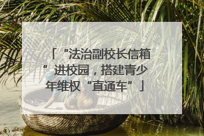 “法治副校长信箱”进校园，搭建青少年维权“直通车”