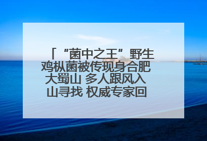 “菌中之王”野生鸡枞菌被传现身合肥大蜀山 多人跟风入山寻找 权威专家回应市民三问