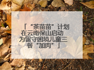 “茶苗苗”计划在云南保山启动 为留守困境儿童三餐“加肉”