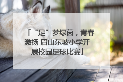 “足”梦绿茵，青春激扬 眉山东坡小学开展校园足球比赛