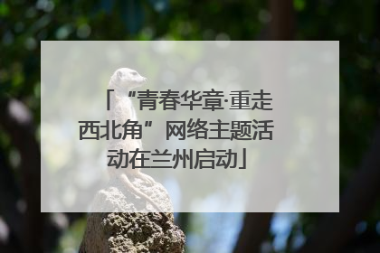 “青春华章·重走西北角”网络主题活动在兰州启动