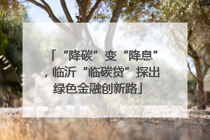 “降碳”变“降息”，临沂“临碳贷”探出绿色金融创新路