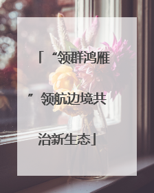 “领群鸿雁”领航边境共治新生态