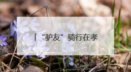 “驴友”骑行在孝感有名店旅游公路，路畅景美人欢笑
