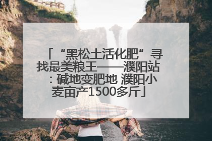 “黑松土活化肥”寻找最美粮王——濮阳站：碱地变肥地 濮阳小麦亩产1500多斤