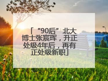 “90后”北大博士张宸珲，升正处级4年后，再有正处级新职