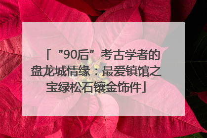 “90后”考古学者的盘龙城情缘：最爱镇馆之宝绿松石镶金饰件