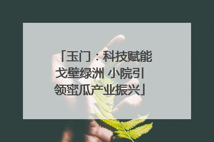 玉门：科技赋能戈壁绿洲 小院引领蜜瓜产业振兴