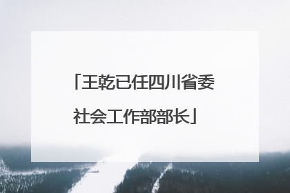王乾已任四川省委社会工作部部长