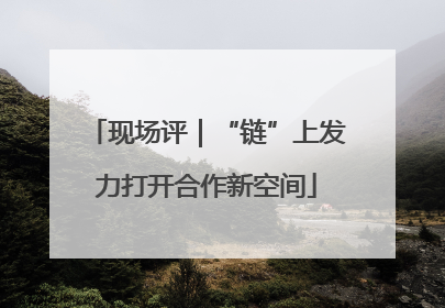 现场评｜“链”上发力打开合作新空间