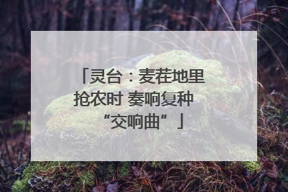 灵台：麦茬地里抢农时 奏响复种“交响曲”